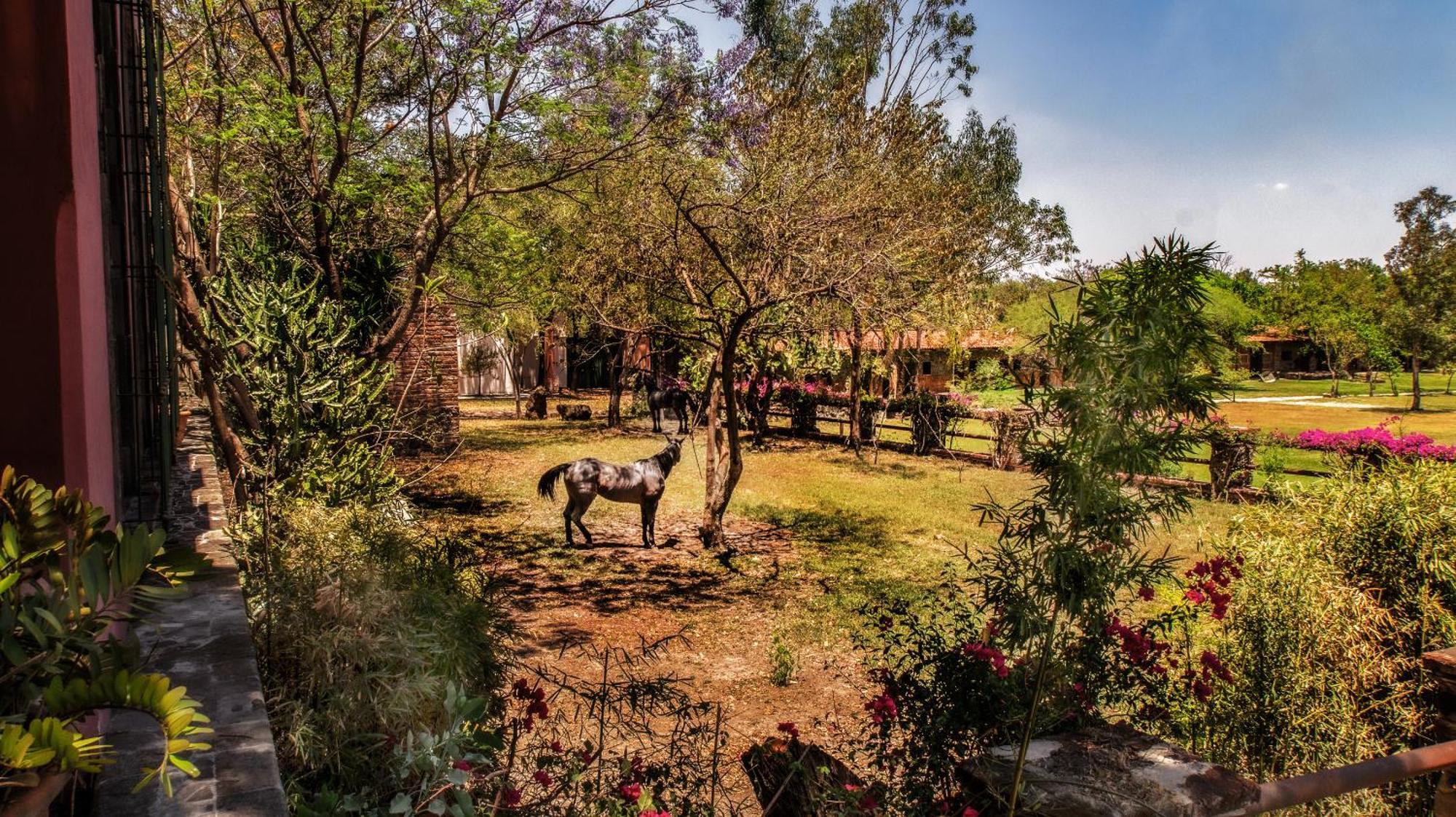 Hacienda Labor De Rivera Hotel Boutique & Eventos Teuchitlán Εξωτερικό φωτογραφία